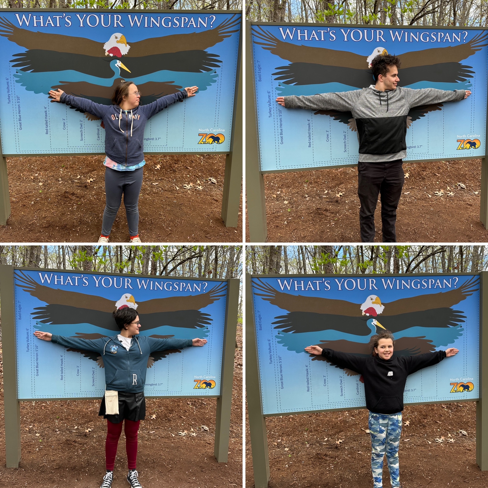 Family Zoo